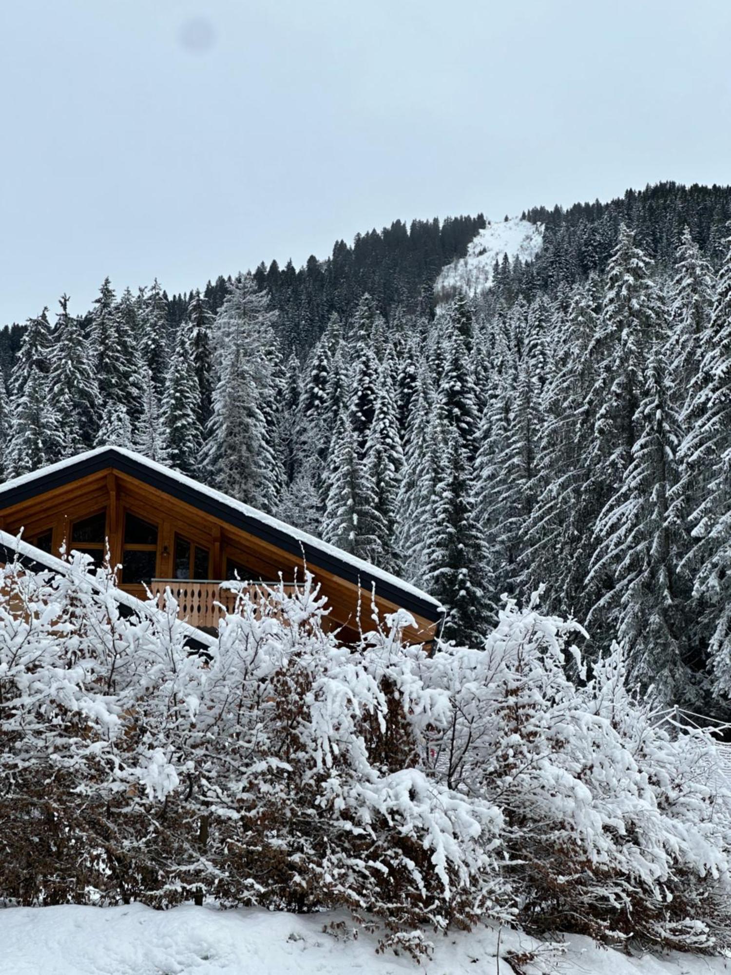 La Rose Des Neiges A Châtel Exteriér fotografie
